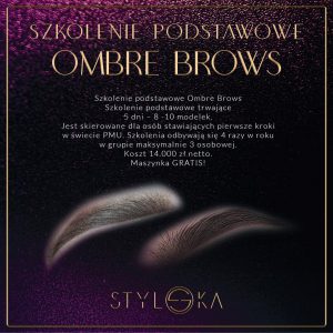 szkolenie pmu podstawowe ombre brows